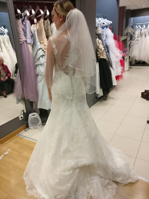 Montrez moi vos robes sirenes!!! - 1
