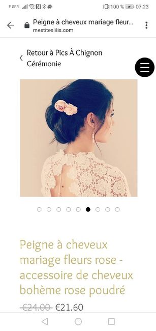 Recherche Bijoux / Bijoux de cheveux - 1