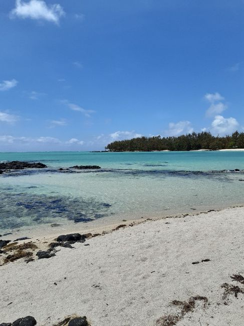 Voyage de noce à l'ile Maurice 10