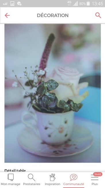 Fleurs - 5