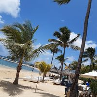 Voyage de noce à l'ile Maurice - 2