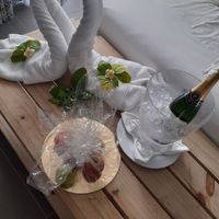 Voyage de noce à l'ile Maurice - 6