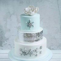 le weeding cake que l'on voudrais pour notre mariage
