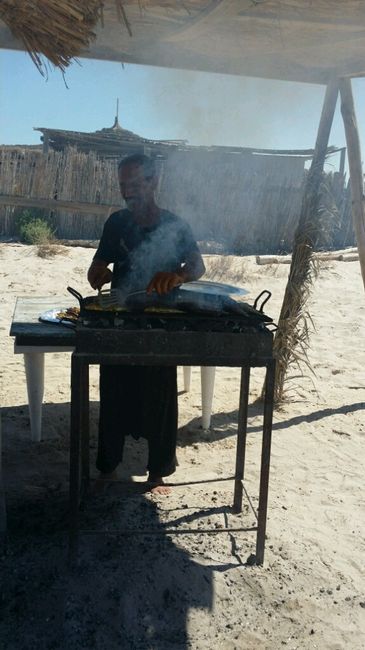 Vdn tunie - djerba - 9