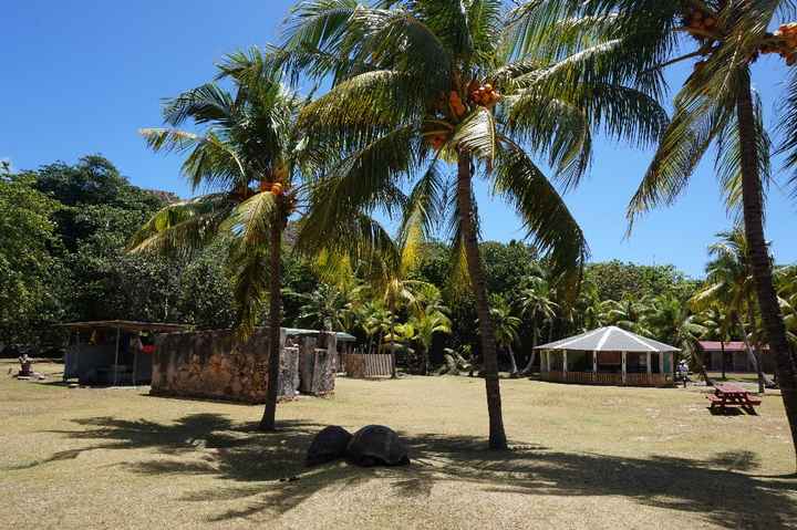 Île Curieuse