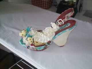 the shoes