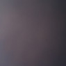 Tlpp