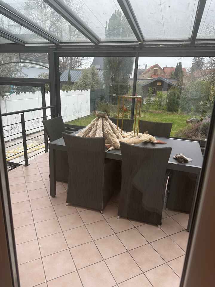 Pampas en centre de table 🤍 - 2