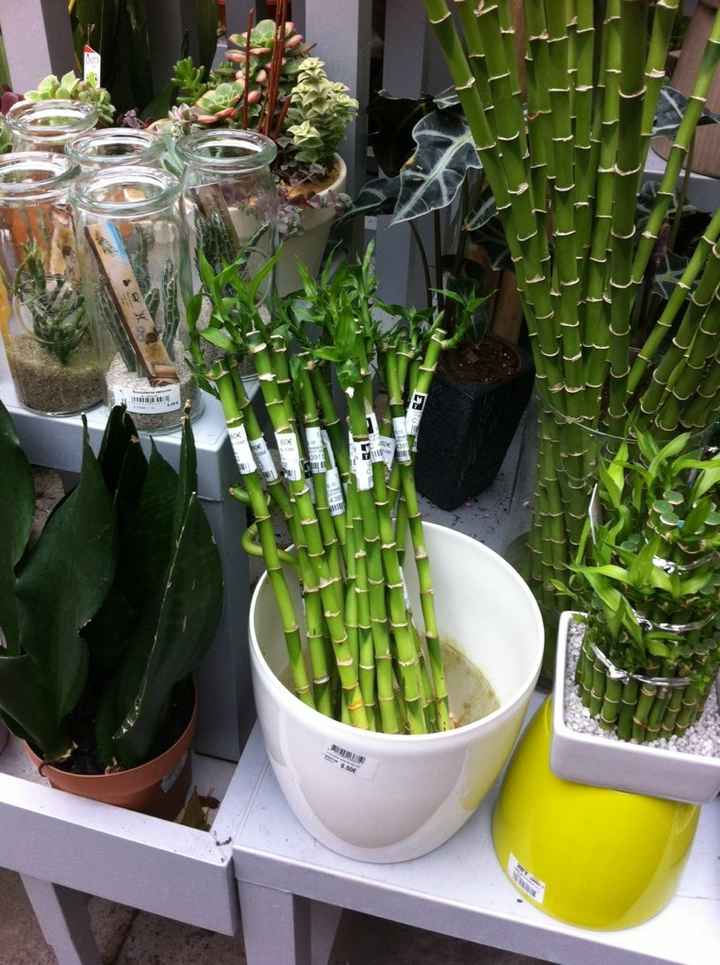 Besoin de vos idées... - 2