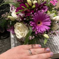 Avez-vous trouvé vos alliances ? - 1