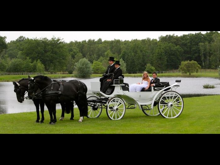 Location calèche mariage - 1