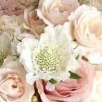 à la recherche d'un nom de fleur 🌺 - 1