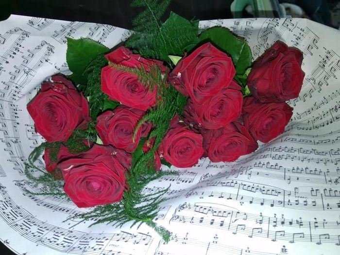 les 12 énormes roses
