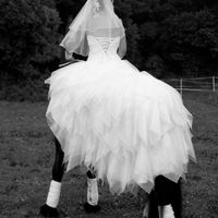 a cheval