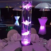 leds et fleurs