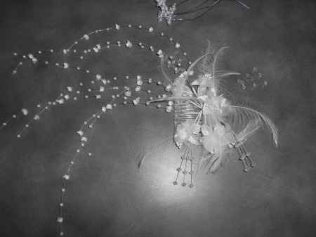 mon accessoire principal de coiffure