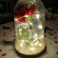 Cloche la belle et la bête 