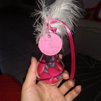 dragée gouttes plexi