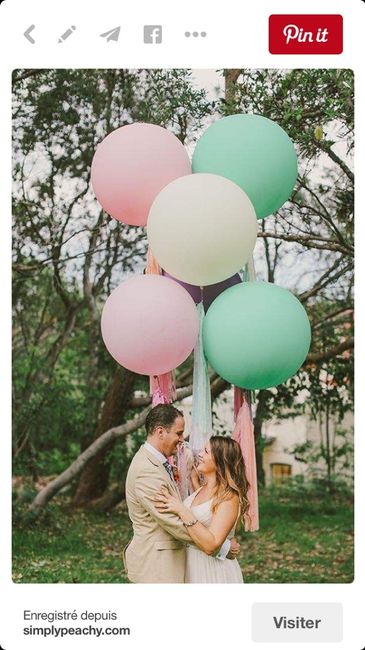 Pompon pour ballons a la séance photo - 2