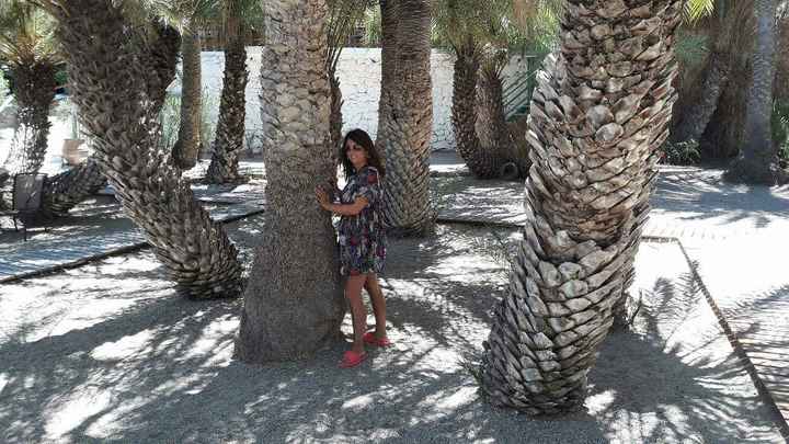 Quelque photo de notre lune de miel - 3