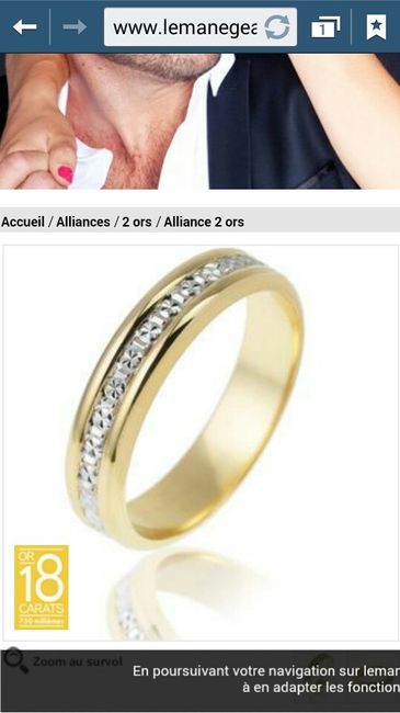 Alliance le manège à bijoux help me please ! - 2