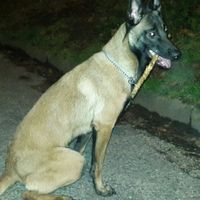 Voilà notre petite dernière ❤