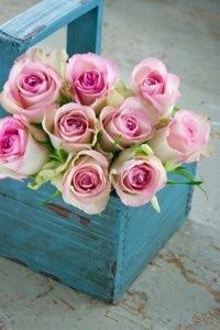 Decoration shabby chic