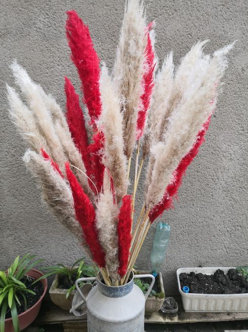 Fleuriste ma prise de tête - 1