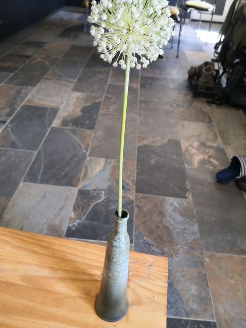a la recherche d'un lot de bouquet de blé à vendre 4