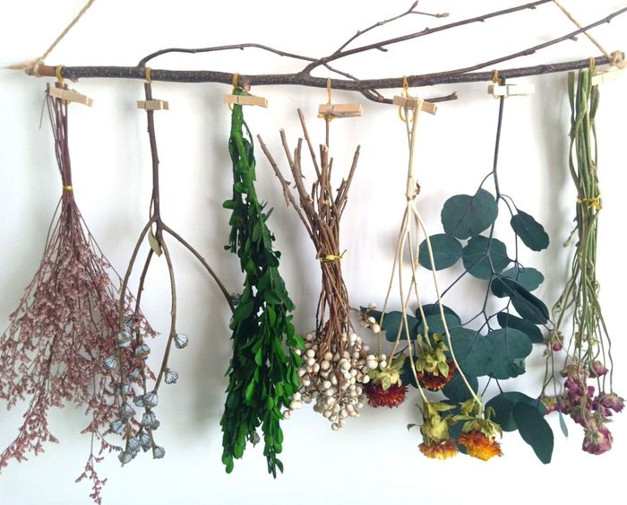 a la recherche d'un lot de bouquet de blé à vendre 1