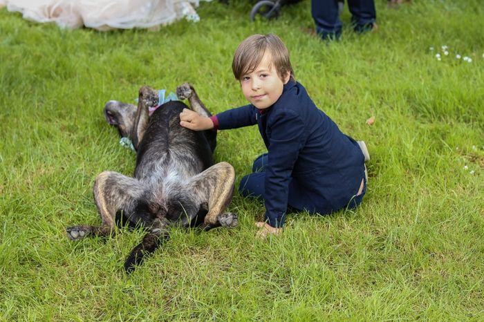 Tous en habit de lumière ! 2