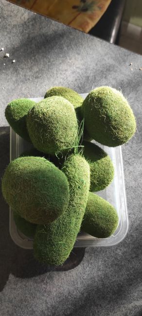 Comment m’organiser - 4