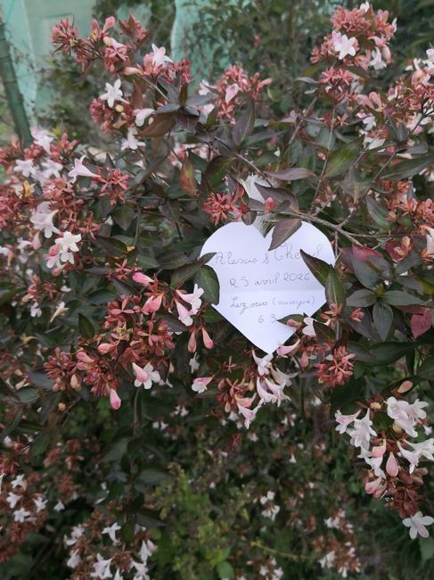 Besoin d’aide Love notes 2