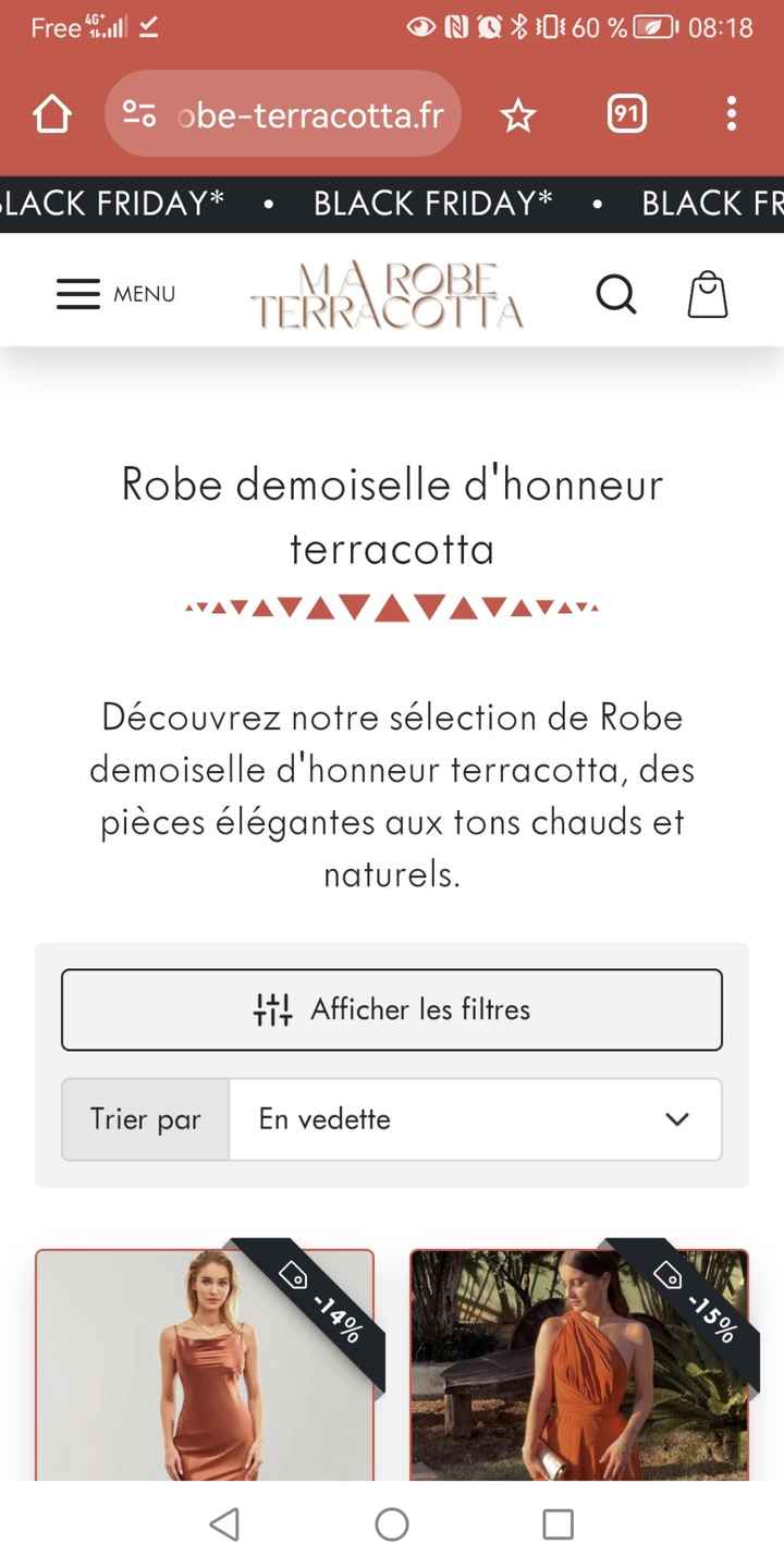 Recherche Robe Cintrée Terracotta - 1
