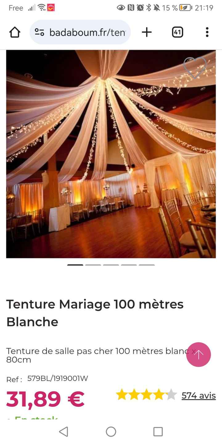 Tenture au plafond salle - 1