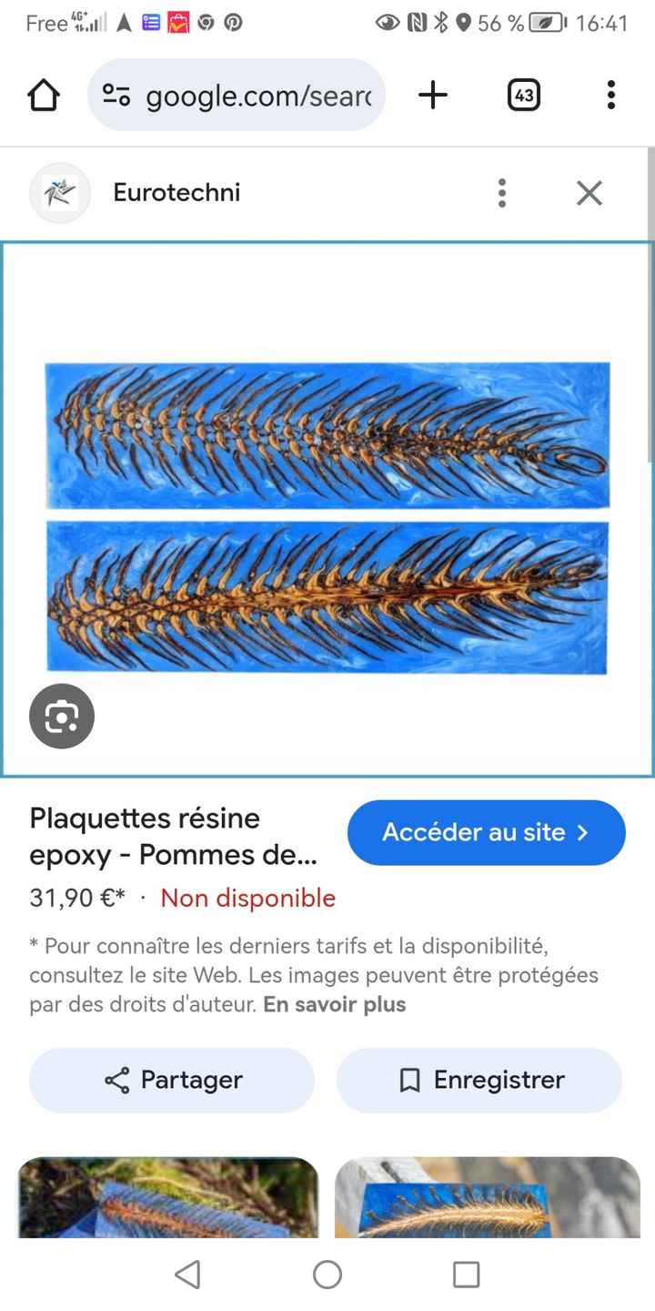 Déco thème « les Landes » - 1