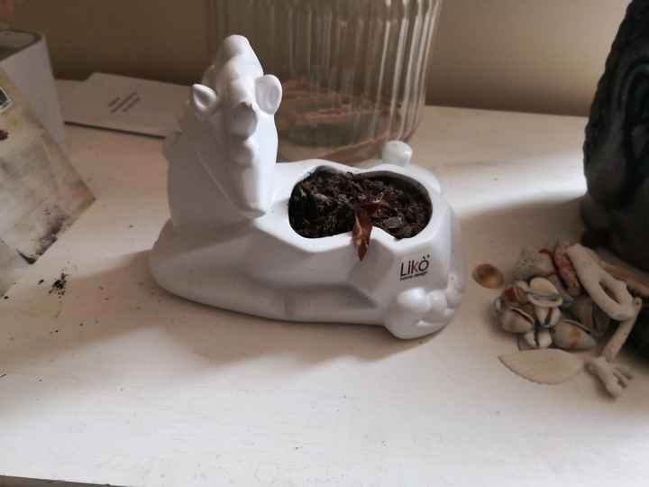 Inspiration livre - 1