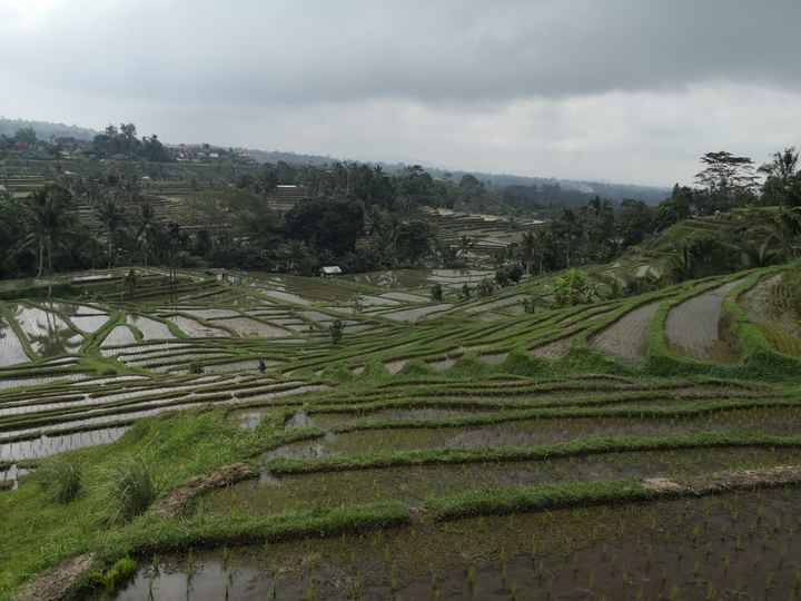 Bali le récit de notre voyage partie 1 - 3