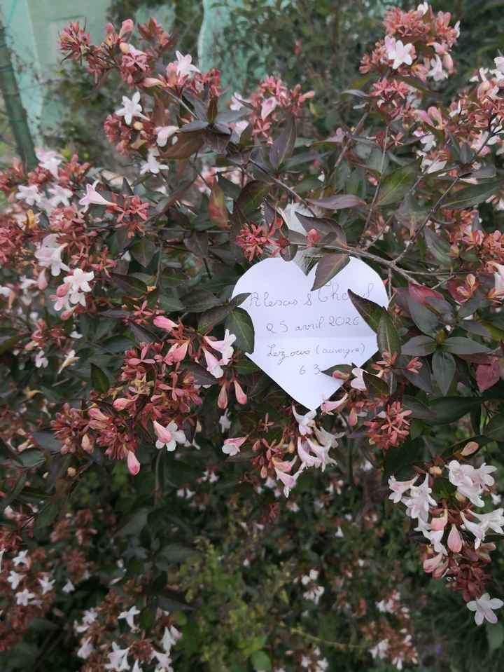 Besoin d’aide Love notes - 1