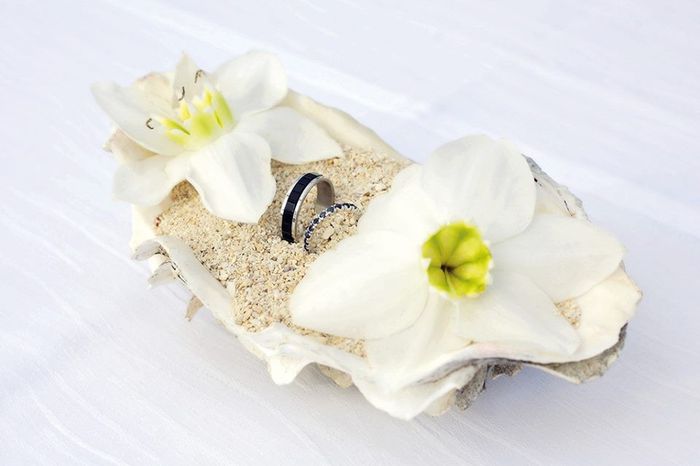 Présentation d'alliance