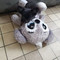 Mavie