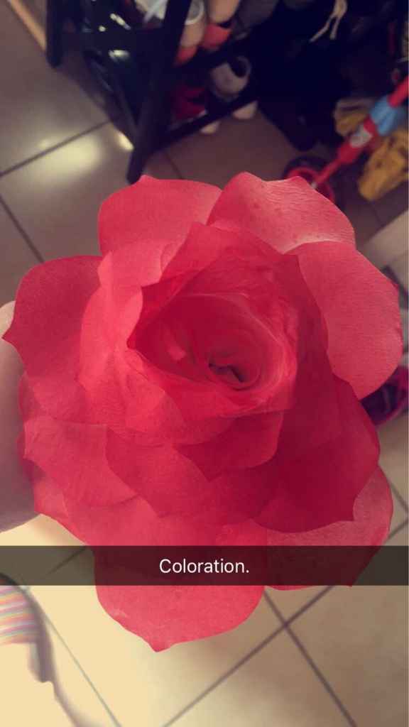 Filtre à café en rose, coloration - 4