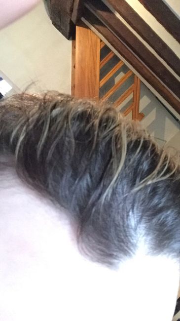 Mes cheveux !!!!! - 1
