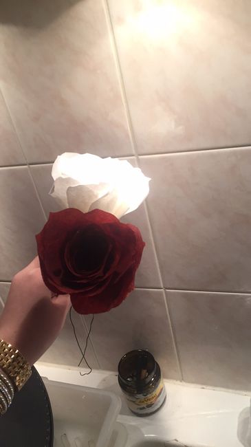 Roses en filtre + urne - 1