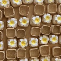 Cherche ce modèle boîte boîte dragée - 1