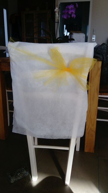  Avis décoration de chaises - 3