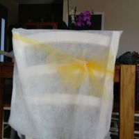  Avis décoration de chaises - 2