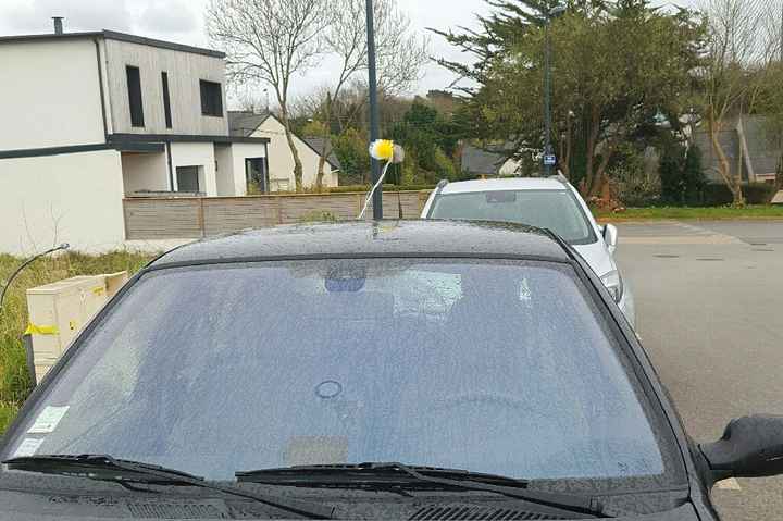 Test pompons invités - 2