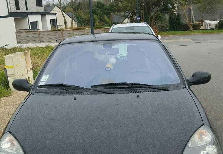 Test pompons invités - 4