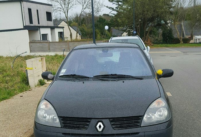 Test pompons invités - 3